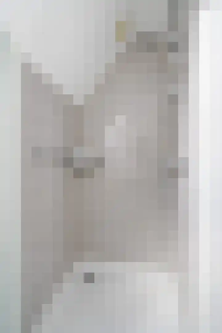 Dieze 69 Oisterwijk thumbnail 31
