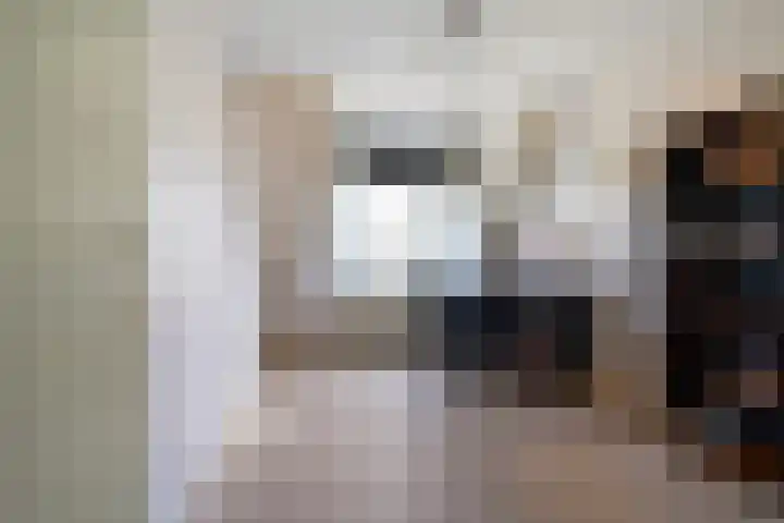 Dieze 69 Oisterwijk thumbnail 36