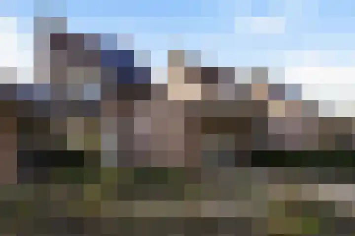 Dieze 69 Oisterwijk thumbnail 4