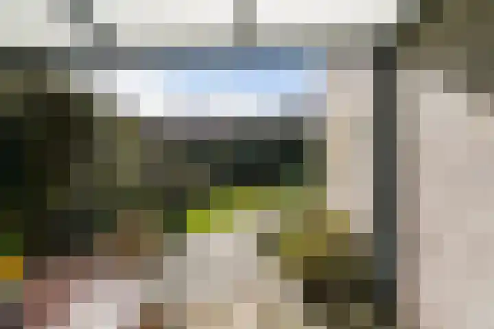 Dieze 69 Oisterwijk thumbnail 40