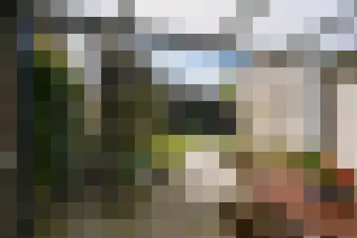 Dieze 69 Oisterwijk thumbnail 41