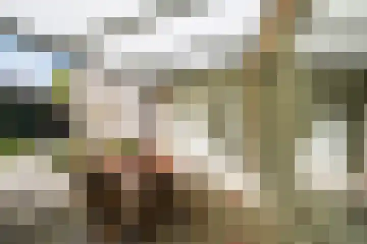 Dieze 69 Oisterwijk thumbnail 42