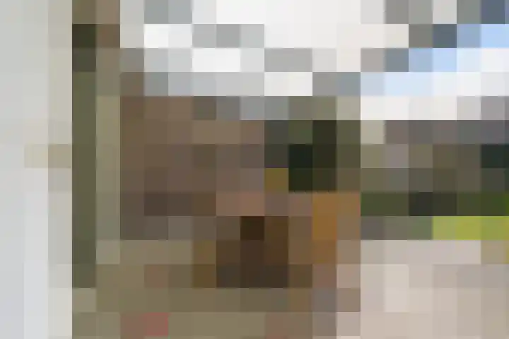 Dieze 69 Oisterwijk thumbnail 43