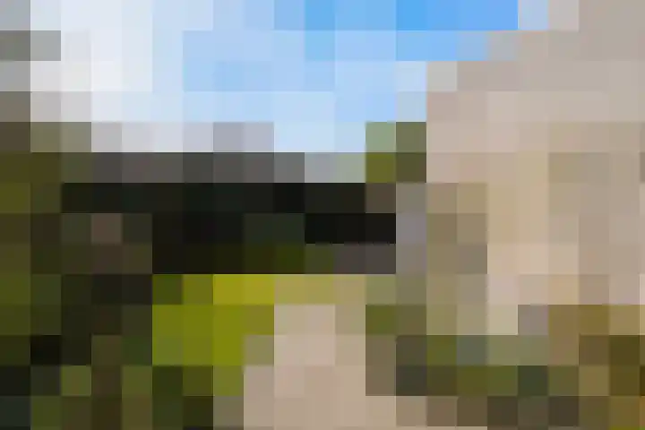 Dieze 69 Oisterwijk thumbnail 44