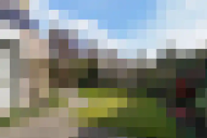 Dieze 69 Oisterwijk thumbnail 45
