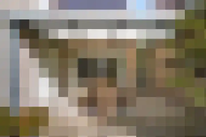 Dieze 69 Oisterwijk thumbnail 46