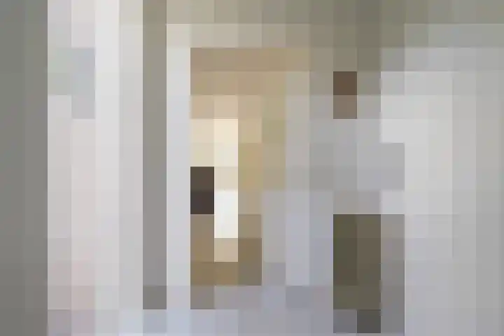 Dieze 69 Oisterwijk thumbnail 5