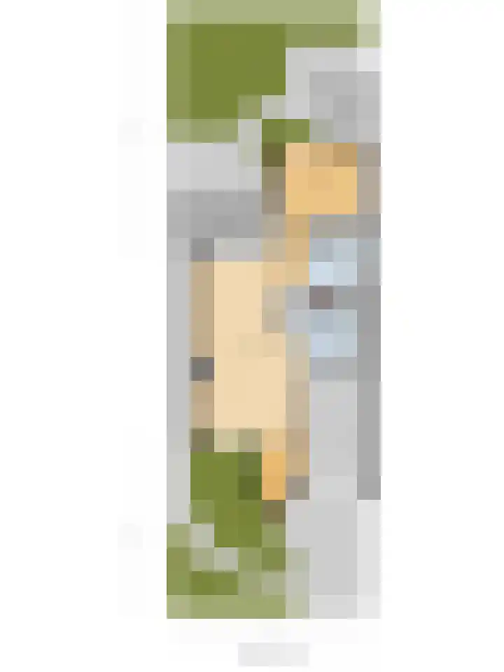 Dieze 69 Oisterwijk thumbnail 50