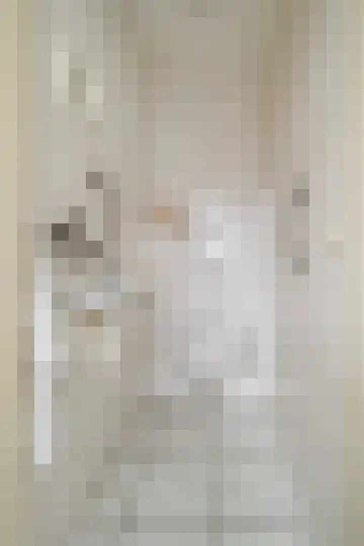 Dieze 69 Oisterwijk thumbnail 7