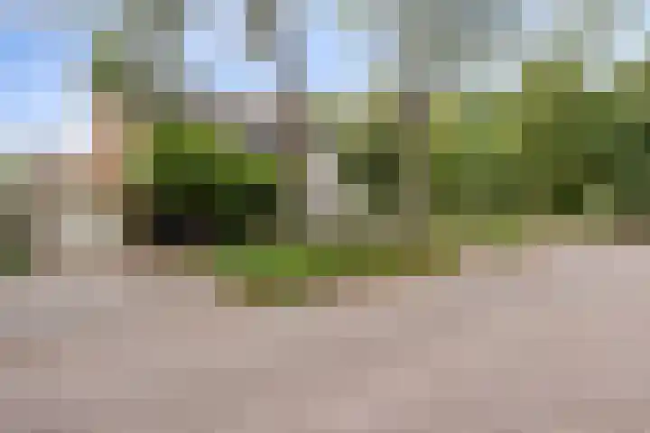Dieze 87 Oisterwijk