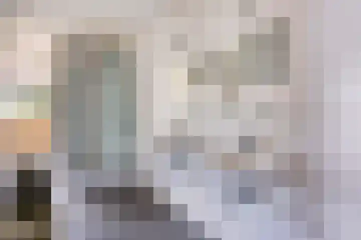 Dieze 87 Oisterwijk thumbnail 15