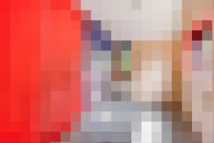 Dieze 87 Oisterwijk thumbnail 17