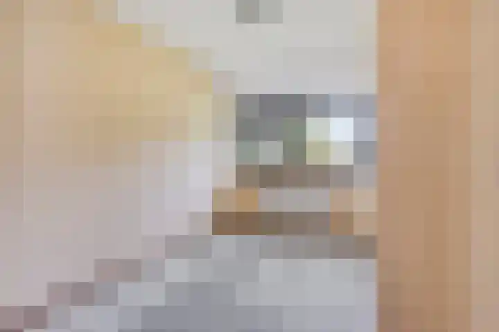 Dieze 87 Oisterwijk thumbnail 18