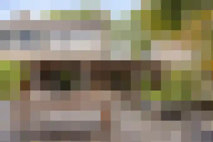 Dieze 87 Oisterwijk thumbnail 21