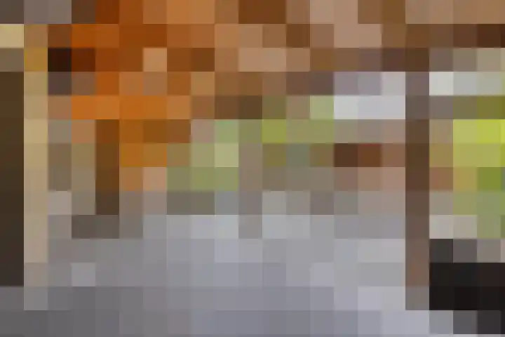 Dieze 87 Oisterwijk thumbnail 22