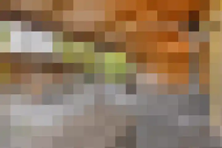 Dieze 87 Oisterwijk thumbnail 23