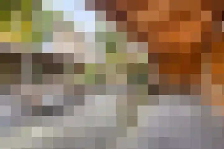 Dieze 87 Oisterwijk thumbnail 24