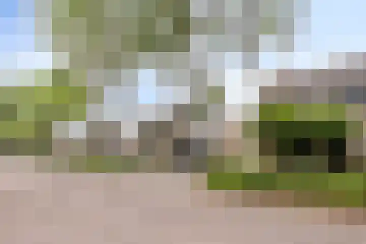 Dieze 87 Oisterwijk thumbnail 25