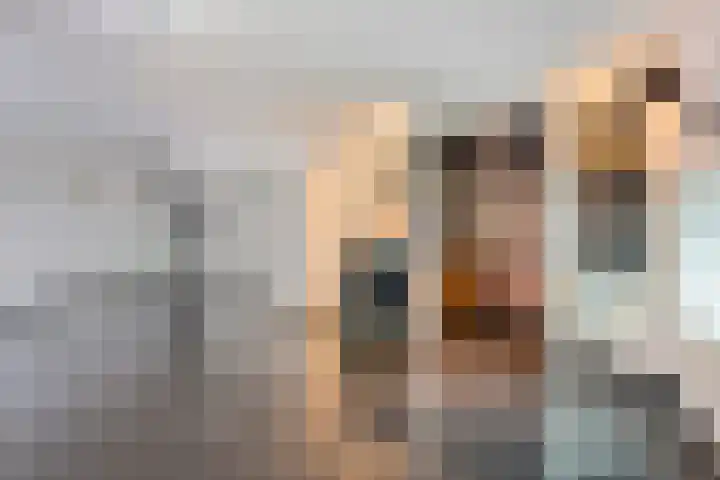 Dieze 87 Oisterwijk thumbnail 4