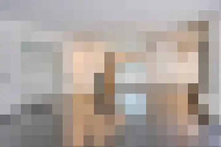 Dieze 87 Oisterwijk thumbnail 5