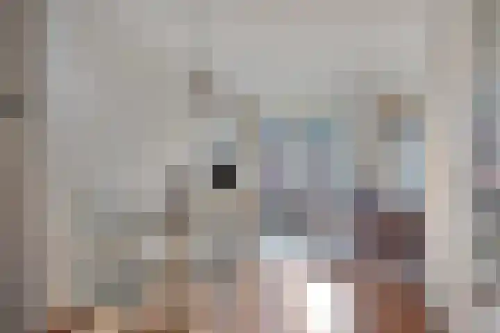 Dieze 9 Veldhoven thumbnail 13