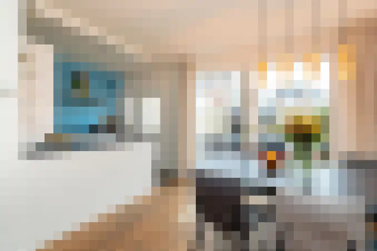 Dieze 95 Tilburg thumbnail 18