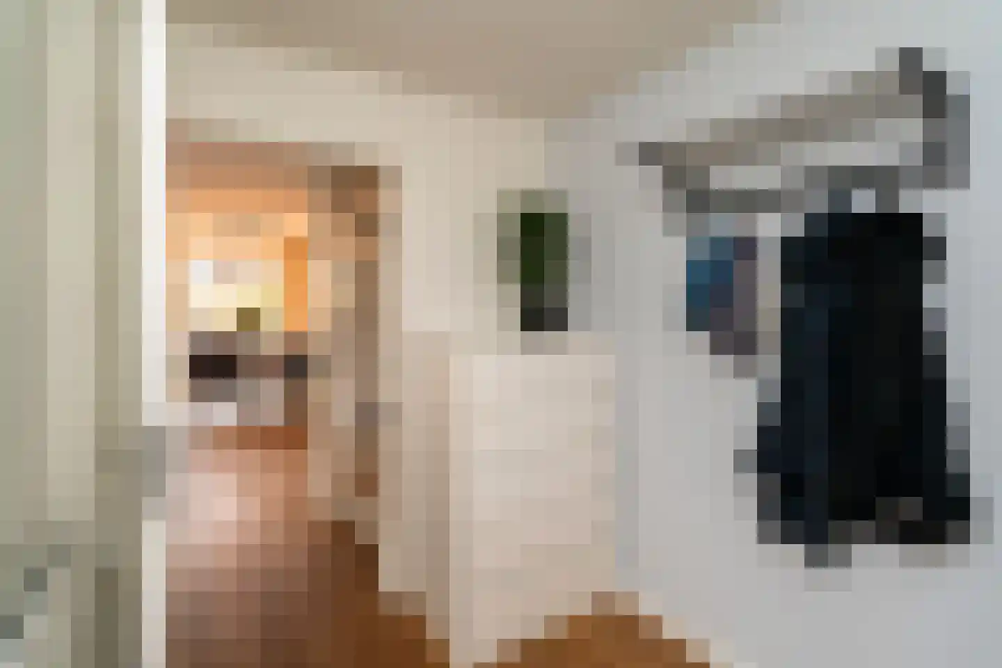 Dieze 95 Tilburg thumbnail 8