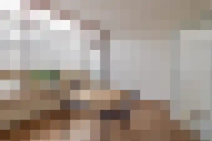 Diezelaan 14 Veghel thumbnail 10