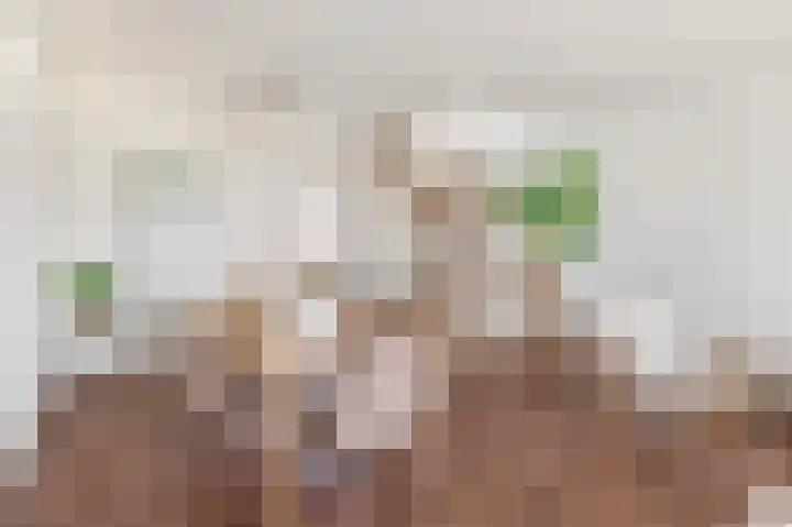 Diezelaan 14 Veghel thumbnail 12
