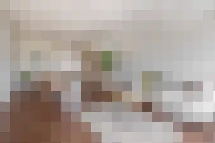Diezelaan 14 Veghel thumbnail 17