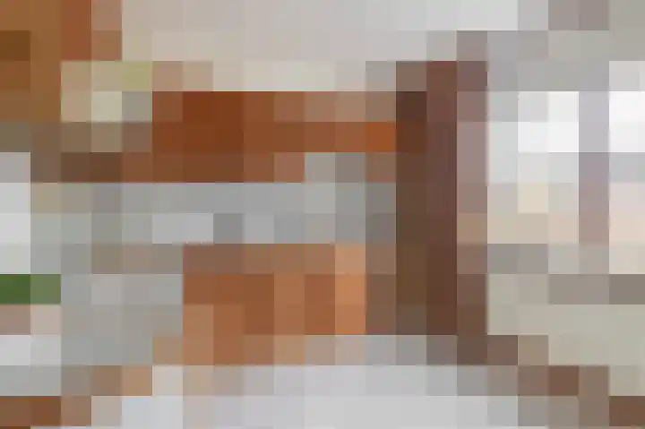 Diezelaan 14 Veghel thumbnail 19