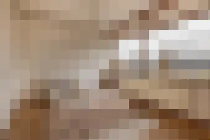 Diezelaan 14 Veghel thumbnail 21