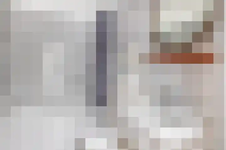 Diezelaan 14 Veghel thumbnail 25