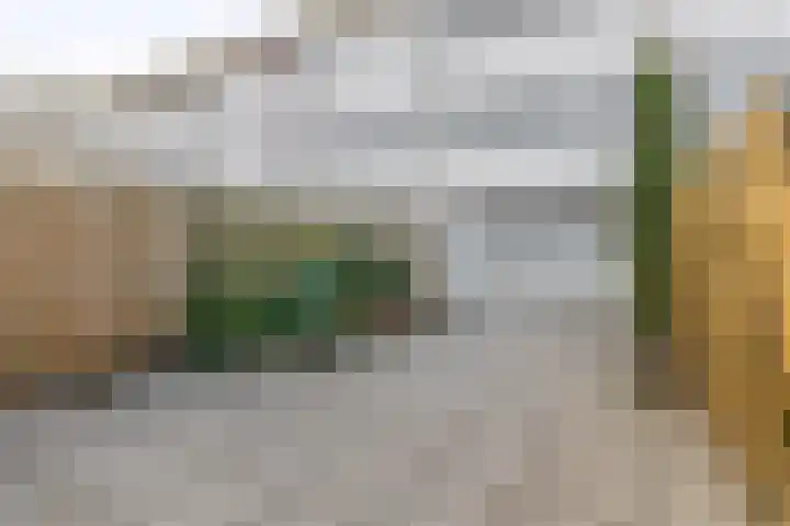 Diezelaan 14 Veghel thumbnail 26