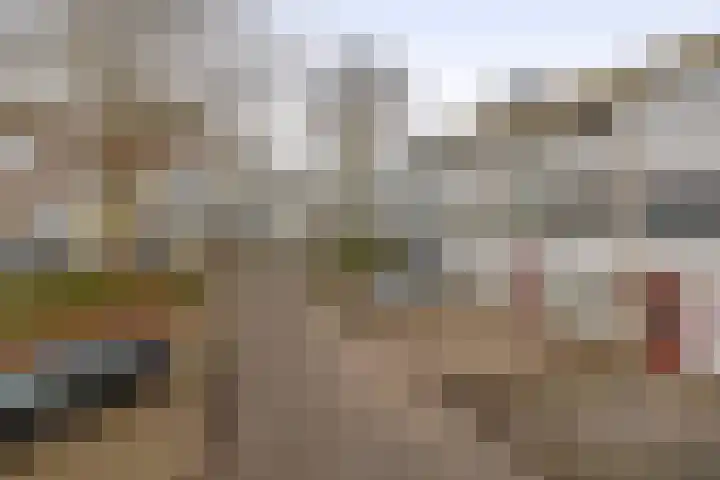 Diezelaan 14 Veghel thumbnail 30