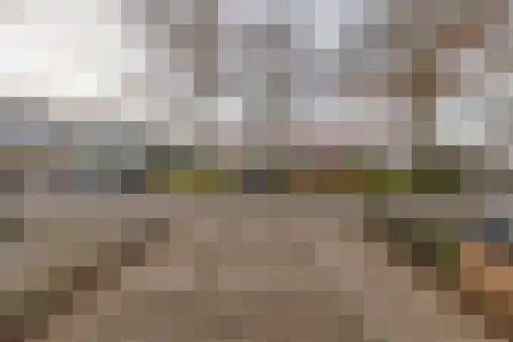 Diezelaan 14 Veghel thumbnail 32