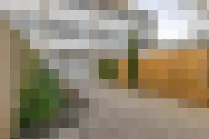 Diezelaan 14 Veghel thumbnail 4