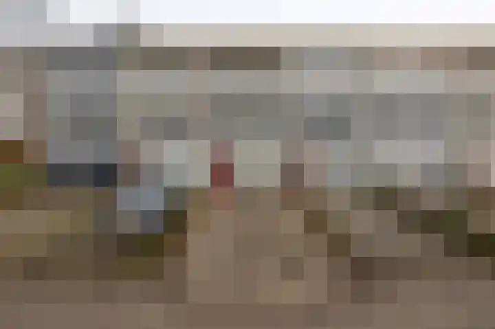 Diezelaan 14 Veghel thumbnail 5