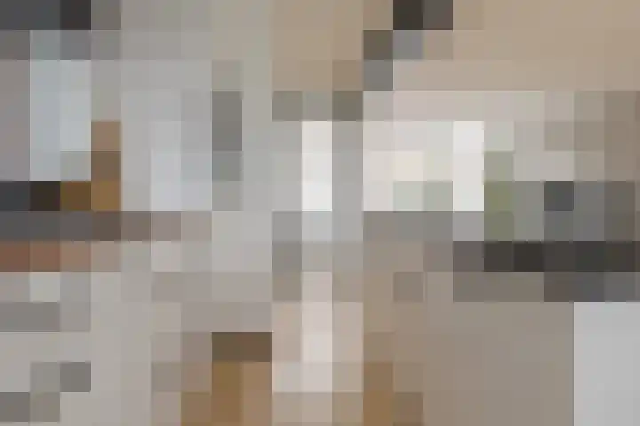 Diezerenk 34 Zwolle thumbnail 16
