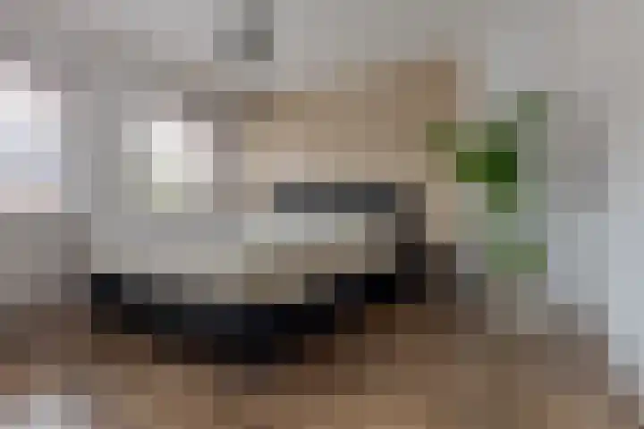 Diezerenk 34 Zwolle thumbnail 19