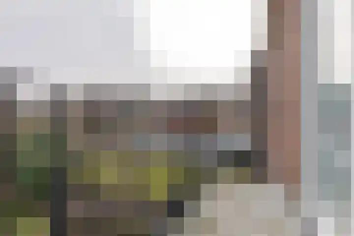 Diezerenk 34 Zwolle thumbnail 25