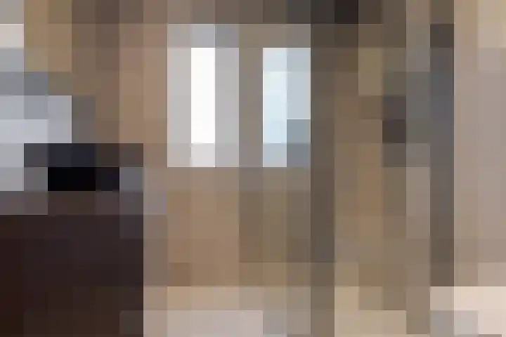 Diezerenk 34 Zwolle thumbnail 31