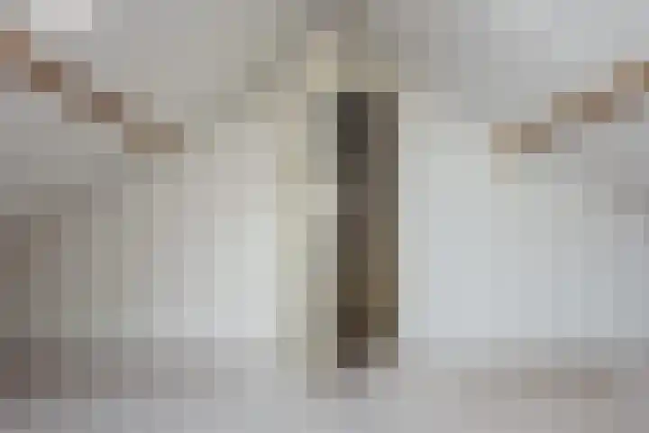 Diezerenk 34 Zwolle thumbnail 38