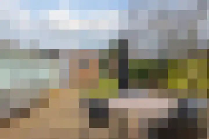 Diezerenk 34 Zwolle thumbnail 39