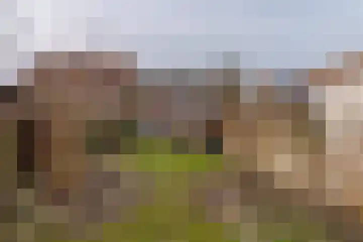 Diezerenk 34 Zwolle thumbnail 4