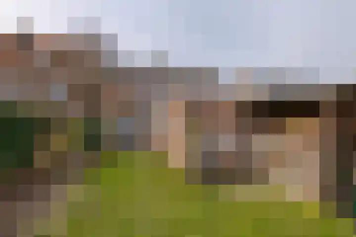 Diezerenk 34 Zwolle thumbnail 43