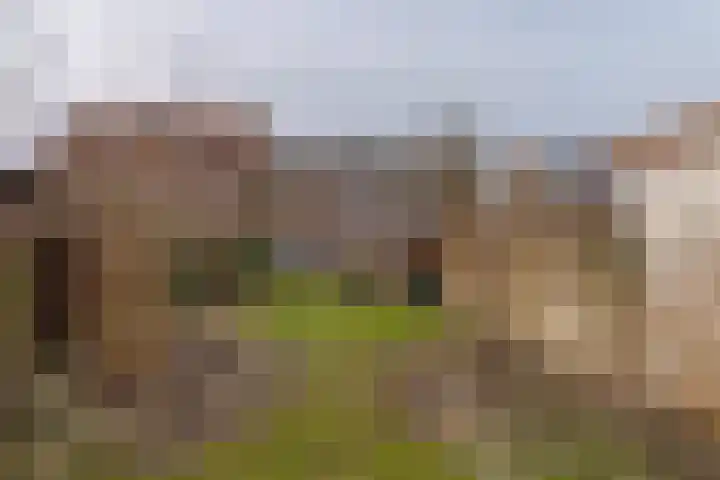 Diezerenk 34 Zwolle thumbnail 44