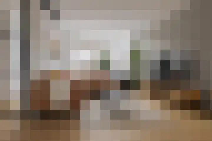 Diezerenk 34 Zwolle thumbnail 8