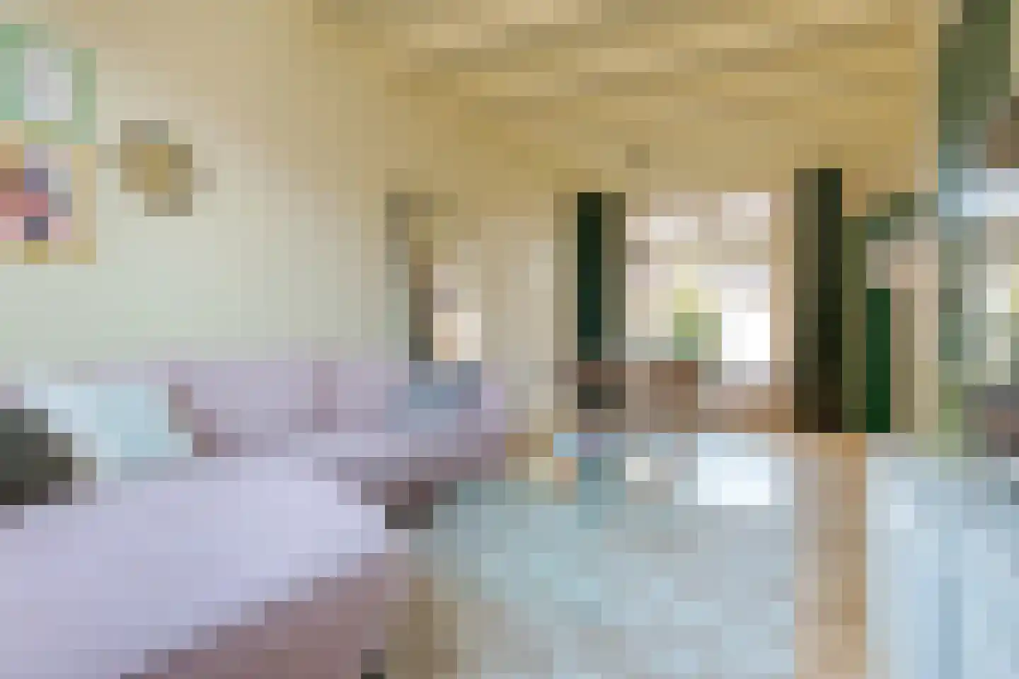 Diezerenk 42 Zwolle thumbnail 11