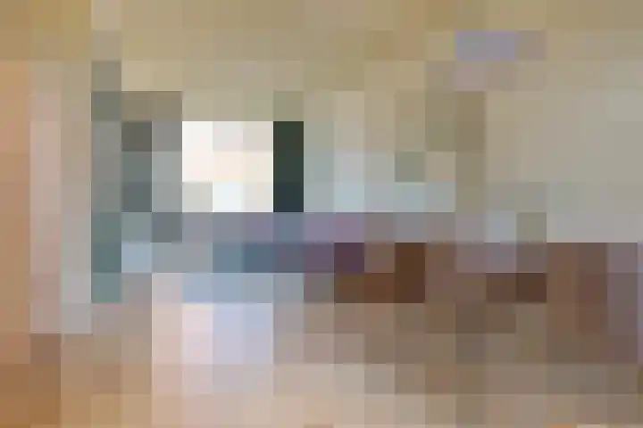 Diezerenk 42 Zwolle thumbnail 13